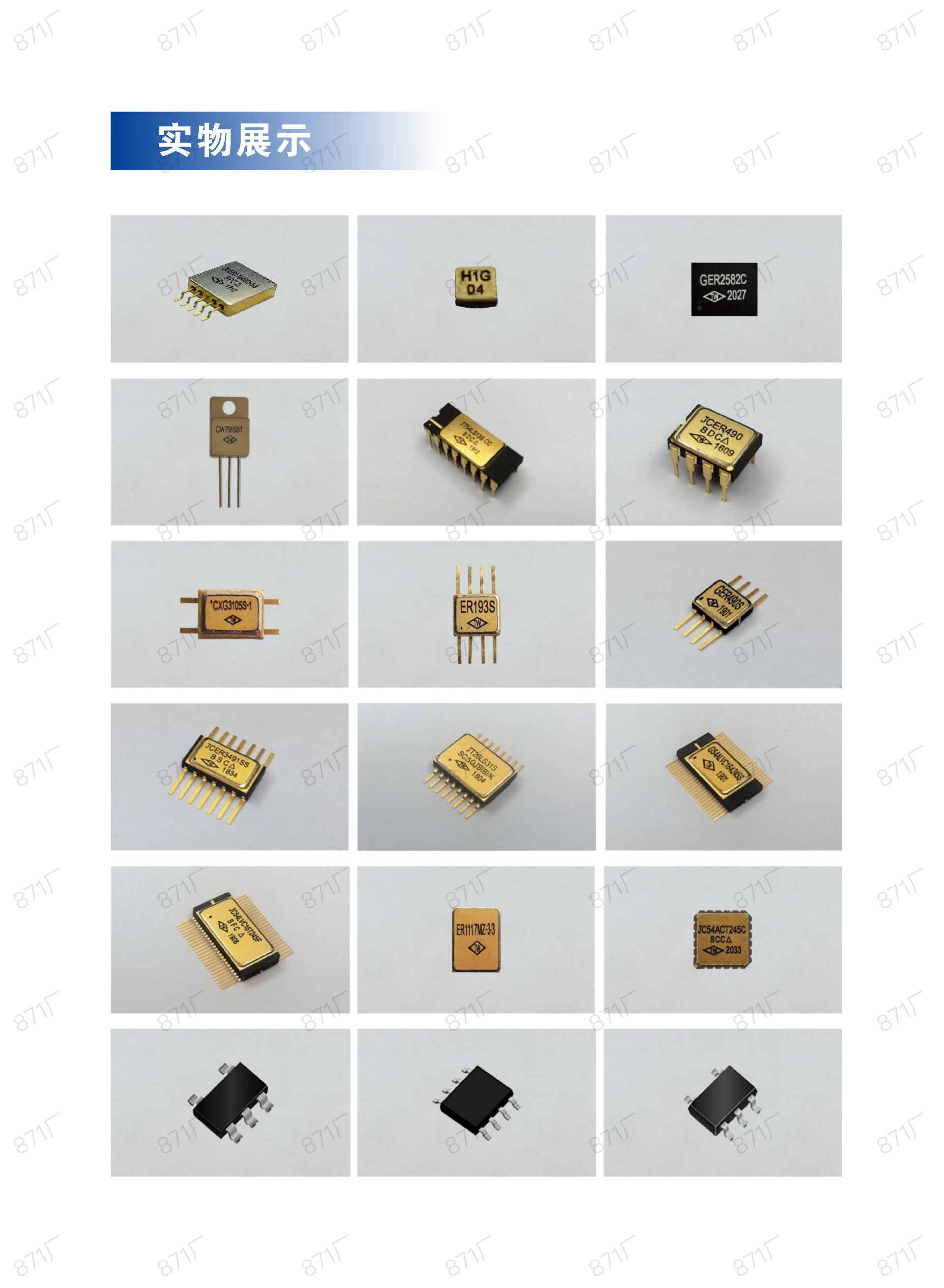 871廠2024版集成電路國(guó)產(chǎn)優(yōu)選目錄_72.jpg