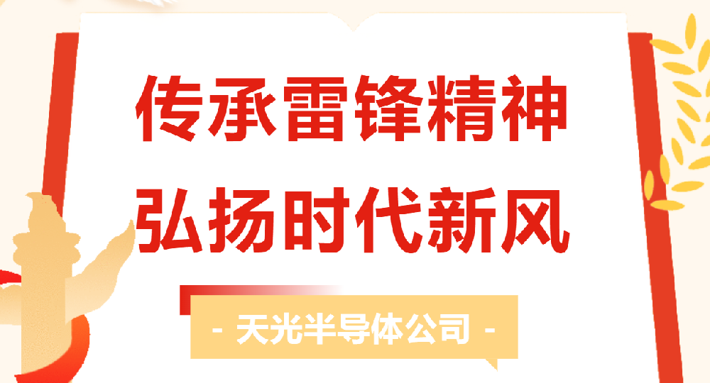 傳承雷鋒精神 弘揚時代新風-- 各黨支部組織開展“學雷鋒”主題黨日活動